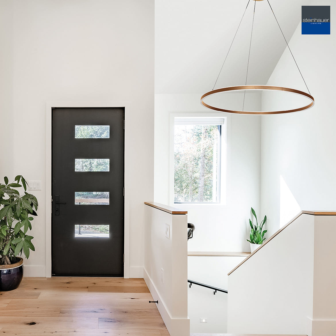 Steinhauer Pendelarmatuur RINGLUX up down IP20, goud dimbaar Steinhauer Pendelarmatuur RINGLUX up down IP20, goud dimbaar