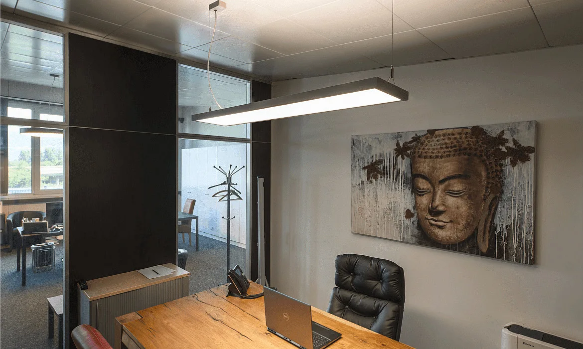 SLV pendant luminaire WORKLIGHT PRO up / down, DALI controllable, UGR < 19 IP20, grey dimmable SLV pendant luminaire WORKLIGHT PRO up / down, DALI controllable, UGR < 19 IP20, grey dimmable