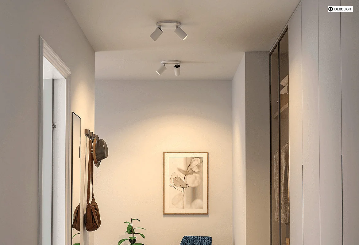 Deko-Light Plafondarmatuur CAN TILT ROUND Ø 20CM 2-vlams, rond, cardanisch draaien GU10 IP20, wit Deko-Light Plafondarmatuur CAN TILT ROUND Ø 20CM 2-vlams, rond, cardanisch draaien GU10 IP20, wit