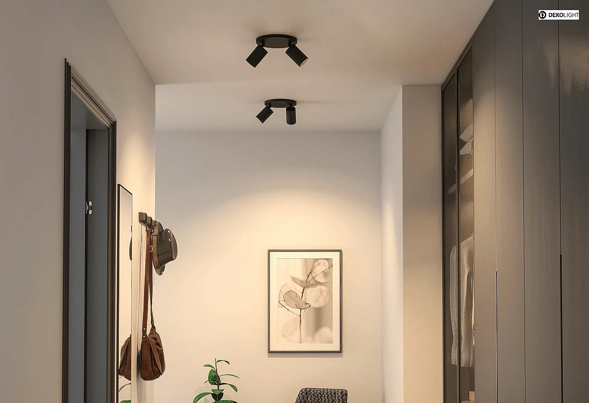 Deko-Light Plafondarmatuur CAN TILT ROUND Ø 20CM 2-vlams, rond, cardanisch draaien GU10 IP20, zwart Deko-Light Plafondarmatuur CAN TILT ROUND Ø 20CM 2-vlams, rond, cardanisch draaien GU10 IP20, zwart