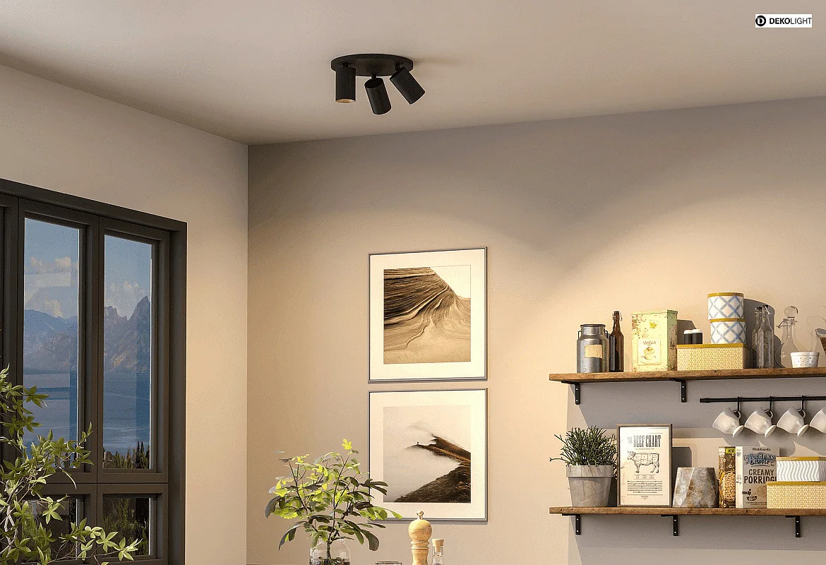 Deko-Light Plafondarmatuur CAN TILT ROUND Ø 25CM 3-vlams, rond, cardanisch draaien GU10 IP20, zwart Deko-Light Plafondarmatuur CAN TILT ROUND Ø 25CM 3-vlams, rond, cardanisch draaien GU10 IP20, zwart