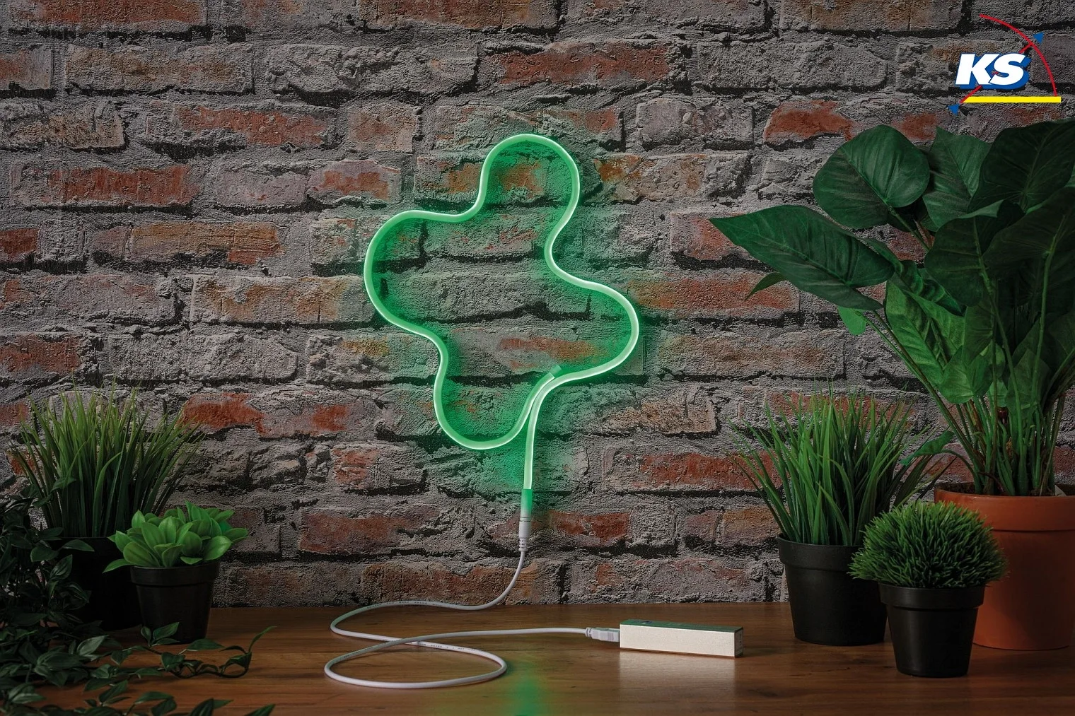 Paulmann Lichtslang NEON COLORFLEX LED met USB-aansluiting wit Paulmann Lichtslang NEON COLORFLEX LED met USB-aansluiting wit