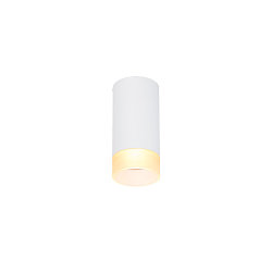 Plafondarmatuur ASTINA down, cilindrisch, met diffuser GU10 IP20, wit dimbaar