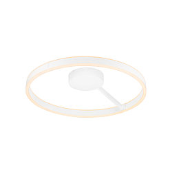 Wand- en plafondarmatuur ONE DALI �60CM up down, DALI aanstuurbaar, CCT Switch, ring vorm IP20, wit dimbaar