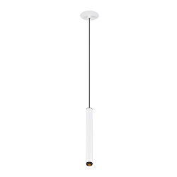 Pendelarmatuur GRIP!S geschikt voor beeldschermwerkstations IP20, zwart, wit dimbaar
