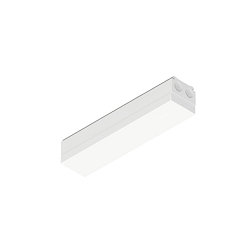 Lichtlijnsysteem feed-in EASYLIGHT FEED IN BOX (FIB) 300 7 25 WH DALI aanstuurbaar, 7-polig, wit, verkeerswit