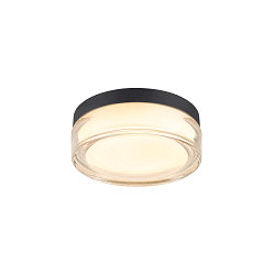 Wand- en plafondarmatuur CYFT XL IP65, zwart, gelakt dimbaar