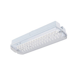 wall and ceiling luminaire P-LIGHT square IP65, transparent, white, lacquered 