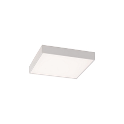 ceiling luminaire OPORTO 3973/40 with diffuser IP20