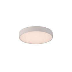 ceiling luminaire ROMA 3974/40 with diffuser IP20