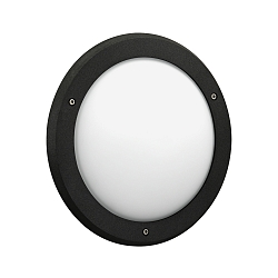 Wandarmatuur voor buitenshuis TYPE NO 6419 IP44, opaal, zwart dimbaar