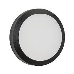Wandarmatuur voor buitenshuis TYPE NO 6420 IP54, zwart dimbaar