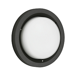 Wandarmatuur voor buitenshuis TYPE NO 6421 IP54, opaal, zwart dimbaar