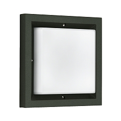Wandarmatuur voor buitenshuis TYPE NO 6422 IP54, opaal, zwart dimbaar