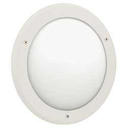 Wandarmatuur voor buitenshuis TYPE NO 6419 IP44, opaal, wit dimbaar