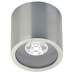 LED Outdoor Ceiling spot Type No. 2318, IP44, � 10.3cm, 8W 800lm 3000K 30�, swiveling 30�, stainless steel