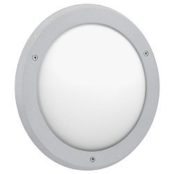 Wandarmatuur voor buitenshuis TYPE NO 6419 IP44, opaal, zilver dimbaar