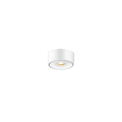 Plafondarmatuur VITO 120 50� LV C Dim-To-Warm, direct / indirect IP20, wit, gelakt dimbaar