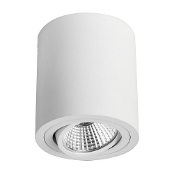 Downlight rond, draaibaar IP20
