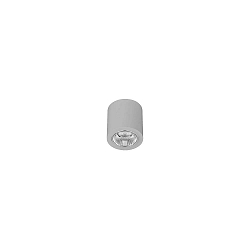 Downlight APOLLO MICRO rond, DALI aanstuurbaar, gefacetteerd IP20, gepoedercoat, zilver dimbaar