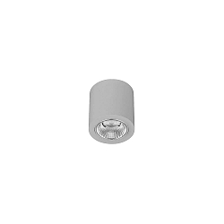 Downlight APOLLO MINI rond, DALI aanstuurbaar, gefacetteerd IP20, gepoedercoat, zilver dimbaar