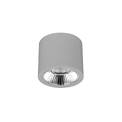 Downlight APOLLO MAXI rond, DALI aanstuurbaar, gefacetteerd IP20, gepoedercoat, zilver dimbaar