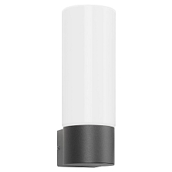 Outdoor wall luminaire AQUA WALL, IP44, E27, stainless steel / opal glass, anthracite