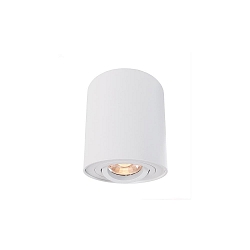 Plafondarmatuur BENGALA ROUND cilindrisch, instelbaar GU10 IP20, wit dimbaar