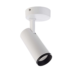 Plafondarmatuur LUCEA TILT 10 CCT Switch, instelbaar IP20, transparant, verkeerswit dimbaar