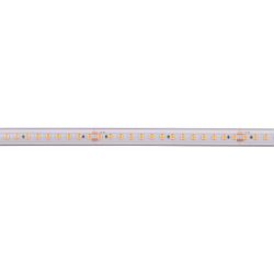 LED stripe LONG RUN