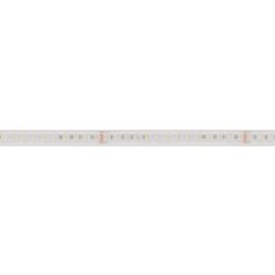 LED stripe LONG RUN