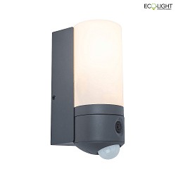 outdoor wall luminaire POLLUX with motion detector, with camera, app control IP44, anthracite dimmable