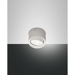 Downlight ANZIO draaibaar IP20, deels gesatineerd, wit 