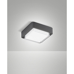 Plafondarmatuur voor buiten DIUK IP65, donkergrijs