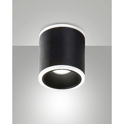 Opbouw armatuur PACA rond IP20, gesatineerd, zwart