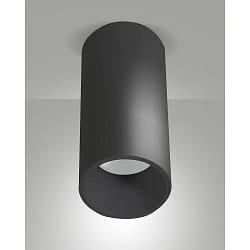 Downlight RAY cilindrisch, stijf, opbouwversie IP44, zwart dimbaar