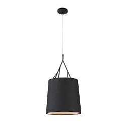 Pendelarmatuur TREE E27 IP20, zwart mat 