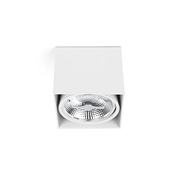 Plafondarmatuur TECTO G53 IP20, wit mat 
