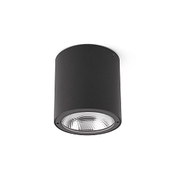 Plafondarmatuur GOZ LED IP65, donkergrijs 