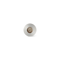 floor recessed luminaire GRUND 80 (INCL HONEYCOMB) 350MA round, rigid, passable IP67, stainless steel, satined dimmable