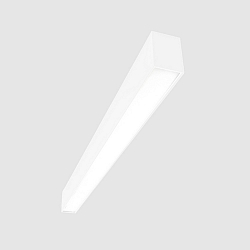 Lichtbalk MICROPAL�, UGR<19 / 847MM / 830 opbouwversie, DALI aanstuurbaar, direct IP40, wit 