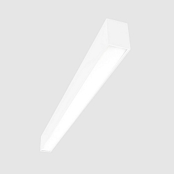 Lichtbalk MICROPAL�, UGR<19 / 1127MM / 830 opbouwversie, DALI aanstuurbaar, direct IP40, wit 