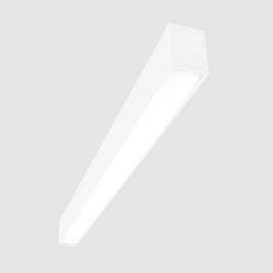 Lichtbalk MICROPAL�, UGR<19 / 1407MM / 830 opbouwversie, DALI aanstuurbaar, direct IP40, wit 