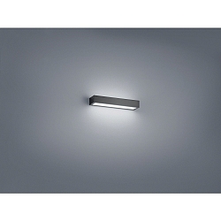 Spiegelarmatuur THEIA 30 IP44, gesatineerd, zwart mat 