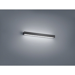 Spiegelarmatuur THEIA 60 IP44, gesatineerd, zwart mat 