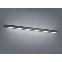 Spiegelarmatuur THEIA 120 IP44, gesatineerd, zwart mat 