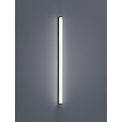 bath luminaire PONTO IP44, black matt, white 