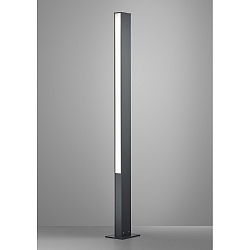 Lichtpaal TENDO 2-vlams, zijdelingse straling IP55, aluminium, grafiet, gesatineerd 