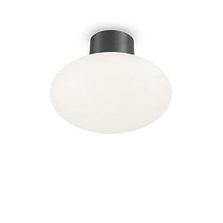 Plafondarmatuur voor buiten CLIO zonder lampenkap E27 IP44, antraciet