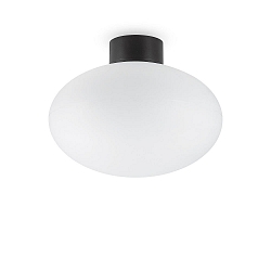 Plafondarmatuur voor buiten CLIO zonder lampenkap E27 IP44, zwart